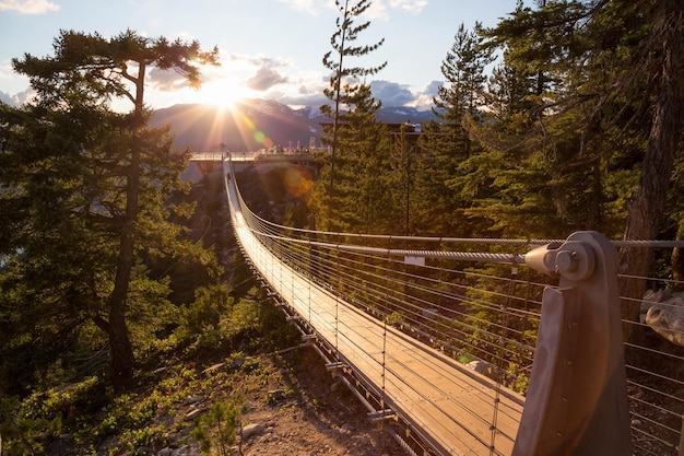 Suspension Bridge on Top of a Mountain in Squamish