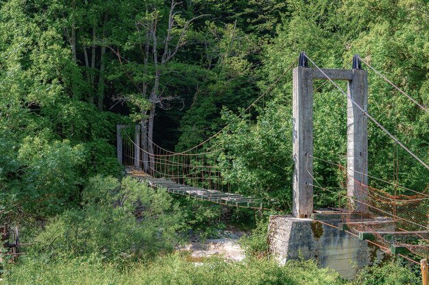 A suspension bridge in the woods with a rope bridge in the background.