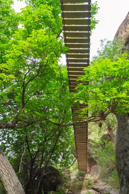 suspension bridge