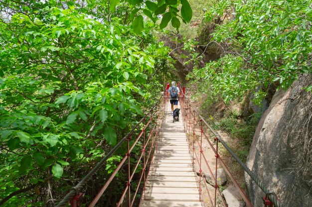 suspension bridge