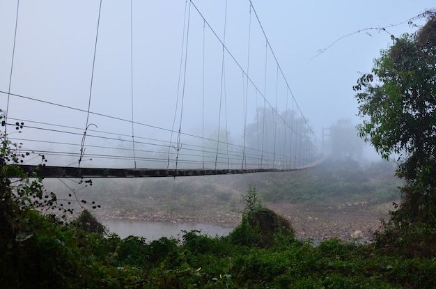 Suspension wooden bamboo bridge in forest for people crossing small stream in morning time at Ban Bo Kluea village in Bo Kluea District of Nan Thailand