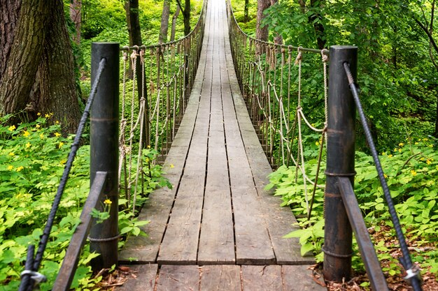 森の中の吊り木橋。森の中の2つの丘の間に吊るされたロープのつり橋。