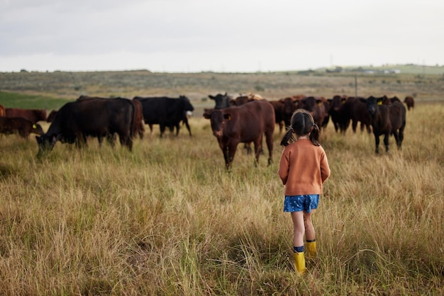 지속 가능성 농업 및 농장에서 소와 노는 어린 소녀와 함께 농업 야외에서 자연 탐험 동물과 함께 목초지에서 모험을 즐기고 시골에서 어린 시절을 즐깁니다.