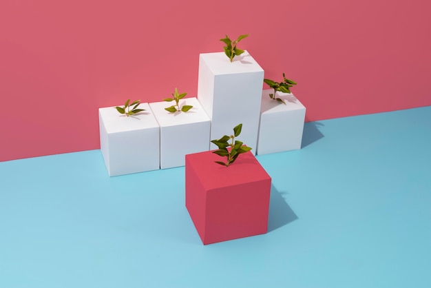 Sustainability concept with plants growing from blank geometric forms