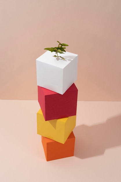 Photo sustainability concept with plants growing from blank geometric forms