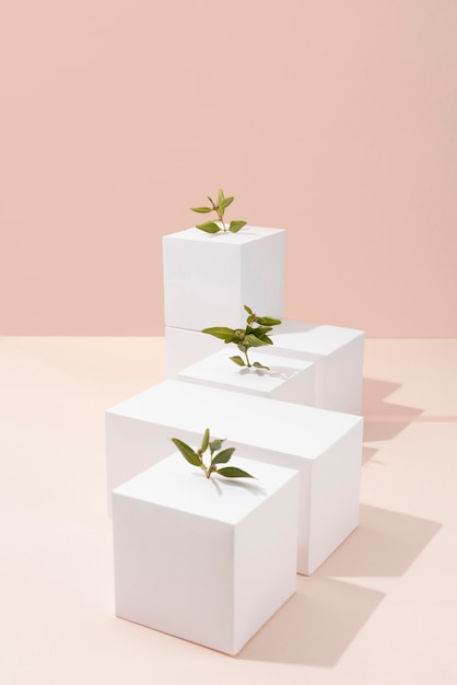 Sustainability concept with plants growing from blank geometric forms