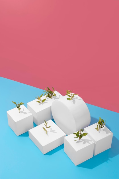 Photo sustainability concept with plants growing from blank geometric forms