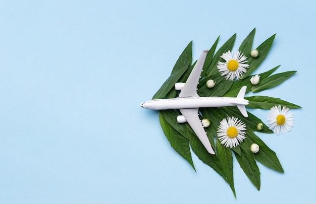 Sustainable Aviation Fuel White airplane model fresh green leaves on blue background