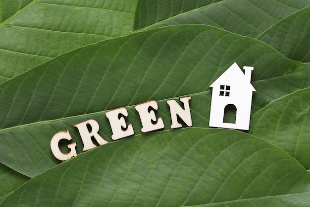 Sustainable Decarbonisation concept wooden House wooden letters Green on Green Fresh Leaf background