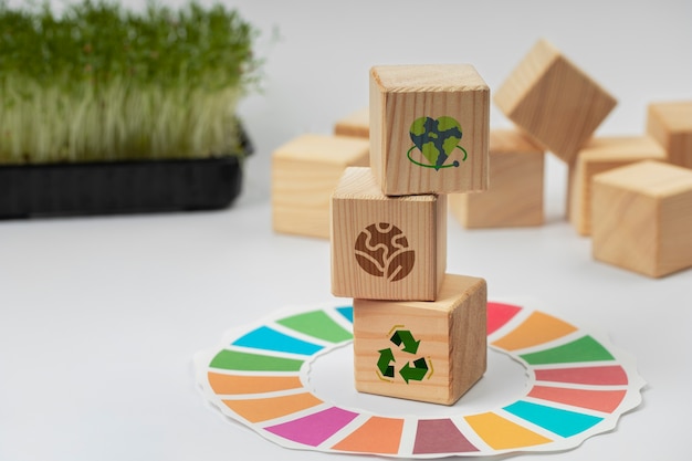 Photo sustainable development goals still life