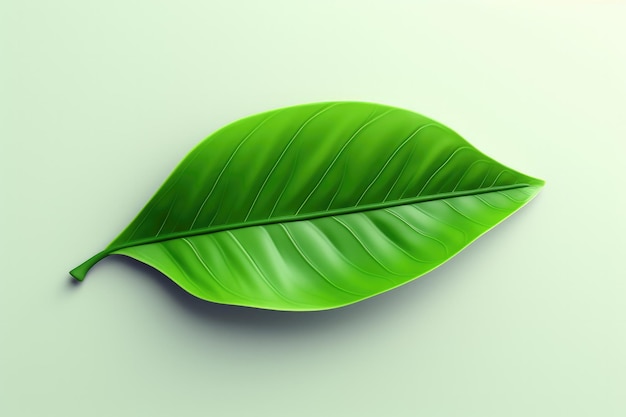 Sustainable eco green leaf 3D render isolated on clean studio background