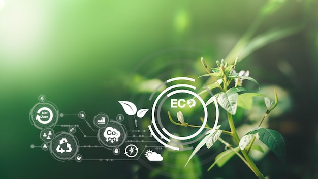 Sustainable energy and smart technology icon on blurred nature\
background