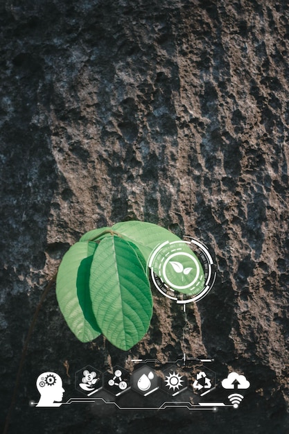 Sustainable energy and smart technology icon on blurred nature\
background