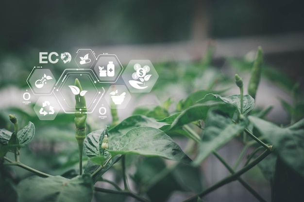 sustainable energy with alternative medicine icon on blurred gentle artistic nature background