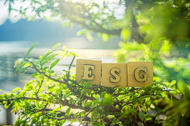 sustainable ESG modernization development by using