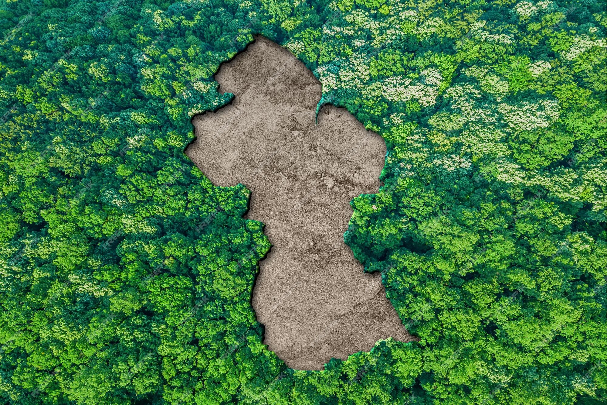 Premium Photo | Sustainable habitat map of guyana, environment concept