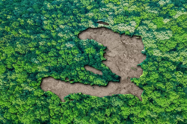 Habitat sostenibile mappa di haiti, concetto di ambiente