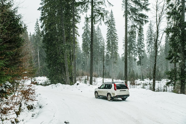 Suv car with chain on wheels in snowed forest. off road journey