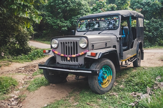 写真 インドの亜熱帯林におけるsuv。丘陵地帯や山岳地帯への輸送。