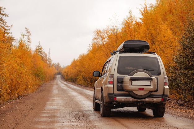 写真 森の中の風光明媚な秋の道のsuv