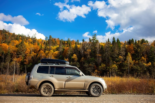 SUV on scenic autumn road in the forest