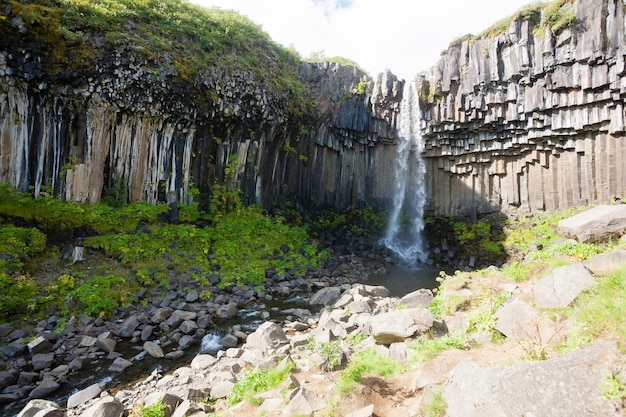 Svartifoss 滝夏のシーズン ビュー アイスランド