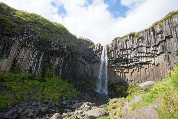 Svartifoss falls in summer season view Iceland