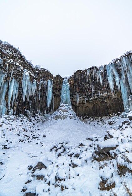 Svartifoss iceland black waterfall completely frozen with bluish stalactites. Vertical wallpaper