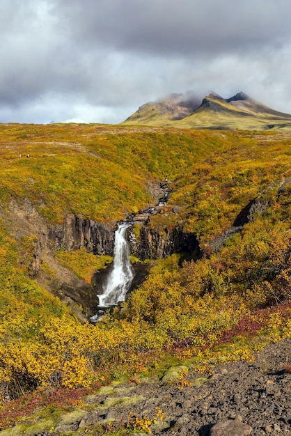 Svartifoss in islanda. drammatica cascata circondata da colonne esagonali di lava di basalto nero.