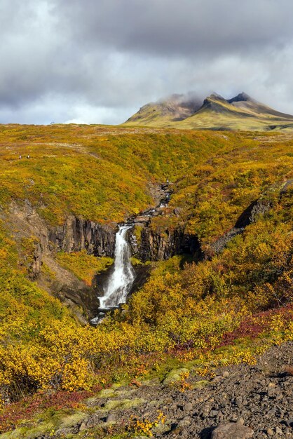 Svartifoss in Iceland