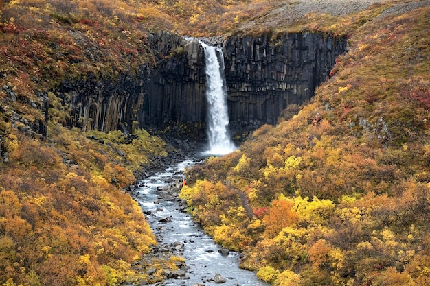 Foto cascata svartifoss islanda