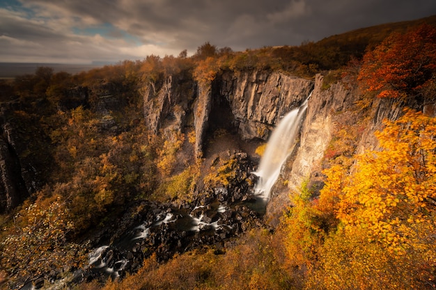 Cascata di svartifoss nel parco nazionale di skaftafell in islanda del sud.