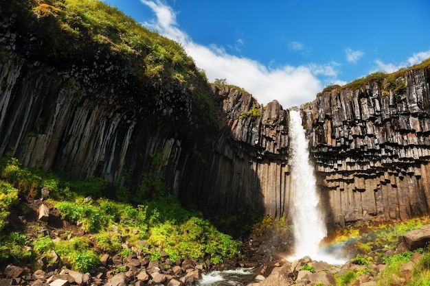 Svartifoss waterfall in Skaftafell national park at sunset, southern Iceland. Beautiful summer landscape