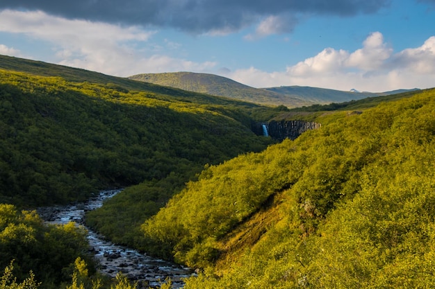 Skaftafell Vatnajokull 국립 공원, 아이슬란드의 Svartifoss 폭포 녹색 극적인 풍경