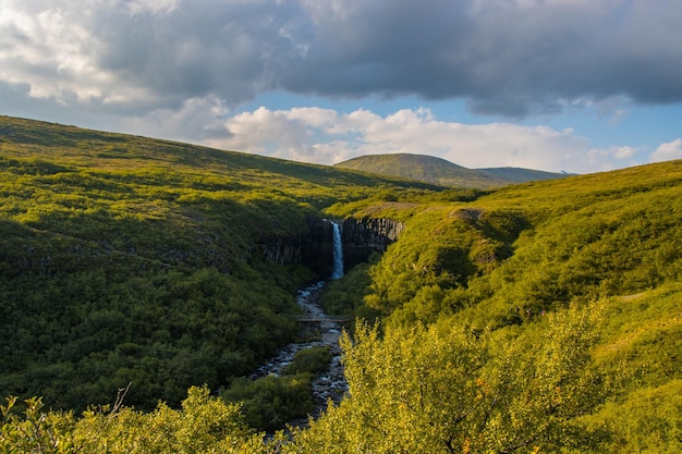 Skaftafell Vatnajokull 국립 공원, 아이슬란드의 Svartifoss 폭포 녹색 극적인 풍경