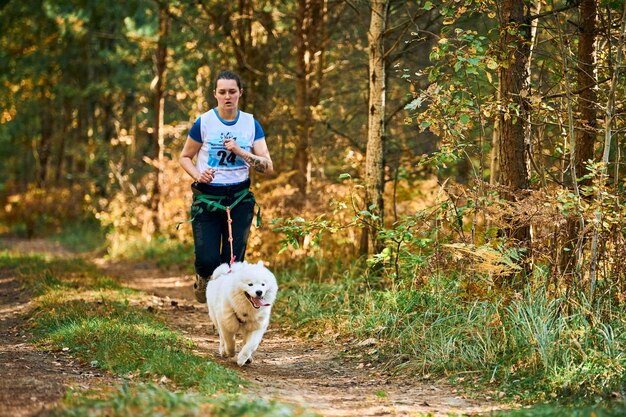 スヴェトルイ、カリーニングラード州、ロシア-2021年10月2日-犬と一緒に走るカニクロスクロスカントリー、白いふわふわのサモイード犬と一緒に走るアスレチック女性マッシャー、犬ぞりレーススポーツ大会