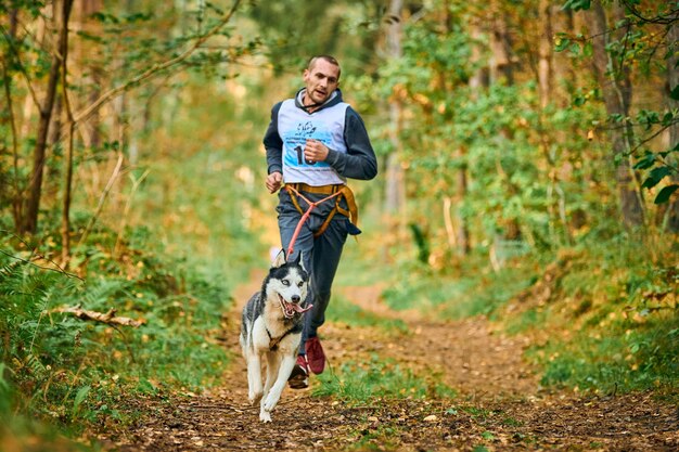 Svetly, oblast Kaliningrad, Rusland - 2 oktober 2021 - Canicross-oefeningen, jonge man loopt met Siberische Husky-hond, neemt deel aan canicrossrace, gezonde levensstijl en joggingconcept