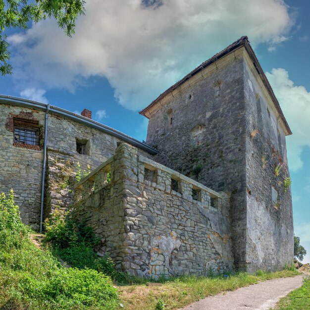 Svirzh, ukraine 10.07.2021. svirzh castle in lviv region of ukraine on a sunny summer day