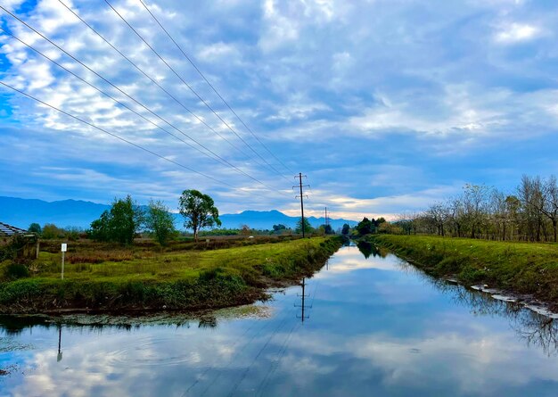 Premium Photo  Swamp landscape under a blue sky on a clear day