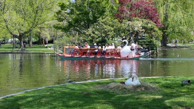 Foto swan aan de oever van de rivier terwijl mensen in een boot in de openbare tuin van boston