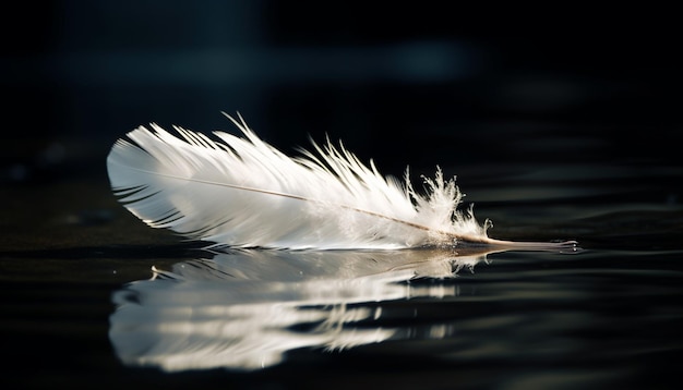 The swan feather a symbol of elegance and fragility generated by AI