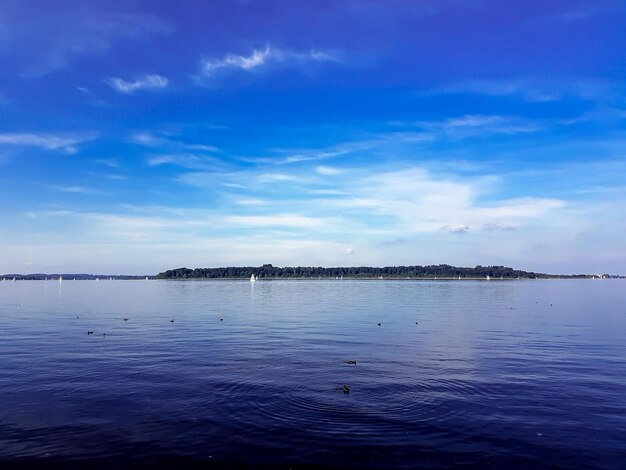 Swan floating on lake against blue sky