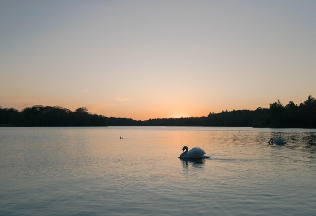 写真 夕暮れのバージニアの水湖に浮かぶ天<unk>