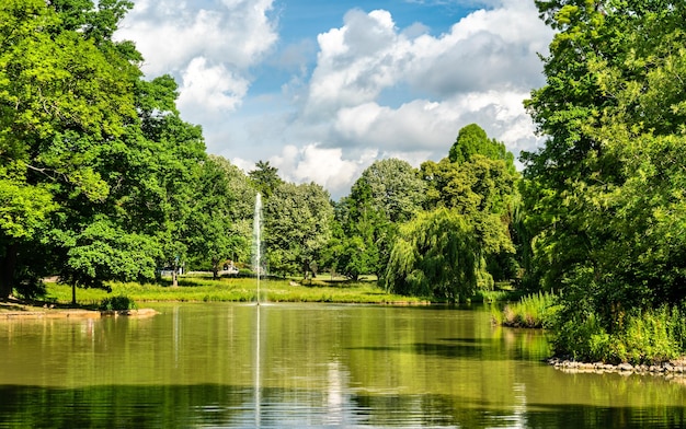 Swan Lake in Bad Homburg vor der Hoehe Germany