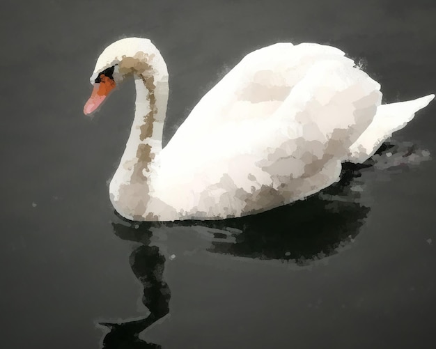 Foto il cigno che nuota nel lago