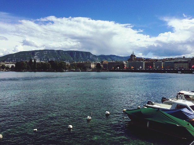 Foto cigni sul lago contro il cielo