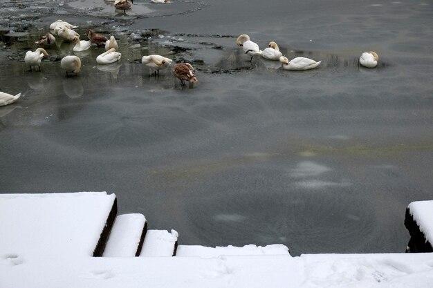 写真 凍った湖の天<unk>