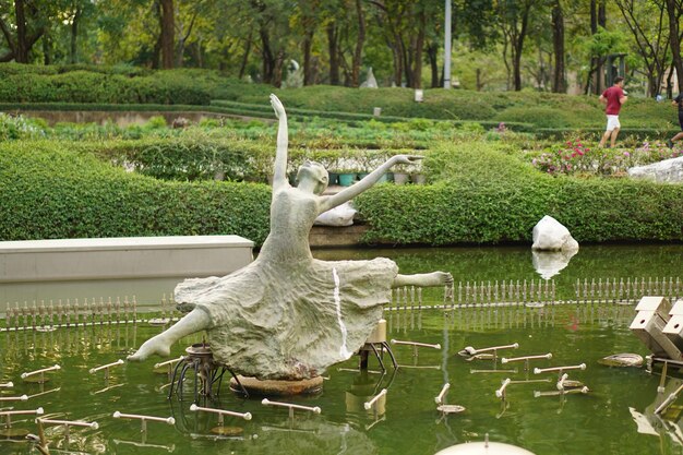 Photo swans on lake against trees