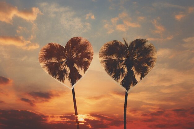 Photo swaying palms swaying hearts