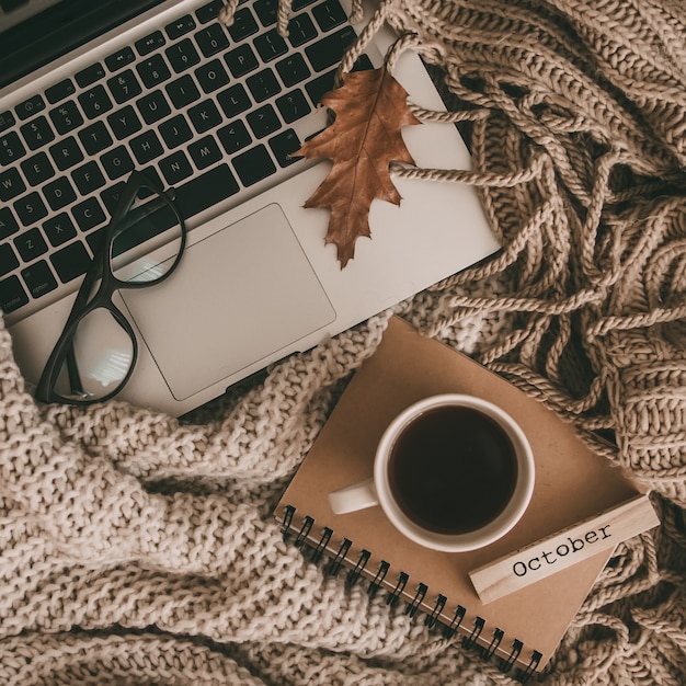 Sweaters and cup of tea with notebook, laptop and knitting clothes